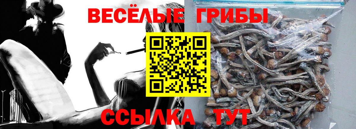 Галлюциногенные грибы Psilocybine cubensis Россия